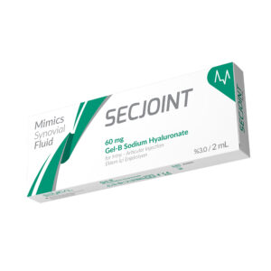 SECJOINT Gel-B Sodium Hyaluronate 60 mg/2 mL – Gel tiêm nội khớp