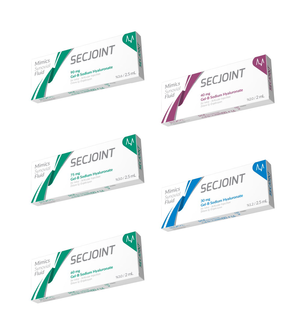 SECJOINT Gel-B Sodium Hyaluronate 40 mg/2 mL – Gel tiêm nội khớp - Ảnh 2